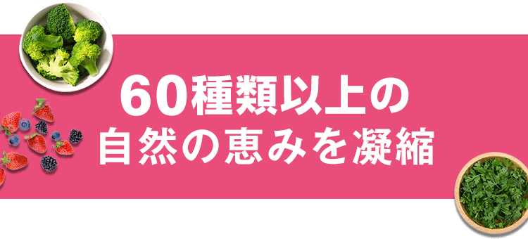 BE-MAX ローフード60 カカオ｜ライフ・マックス