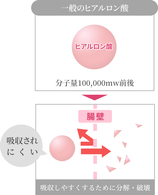 一般のヒアルロン酸は分子量が多く吸収されにくい